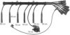 BERU ZE757 Ignition Cable Kit